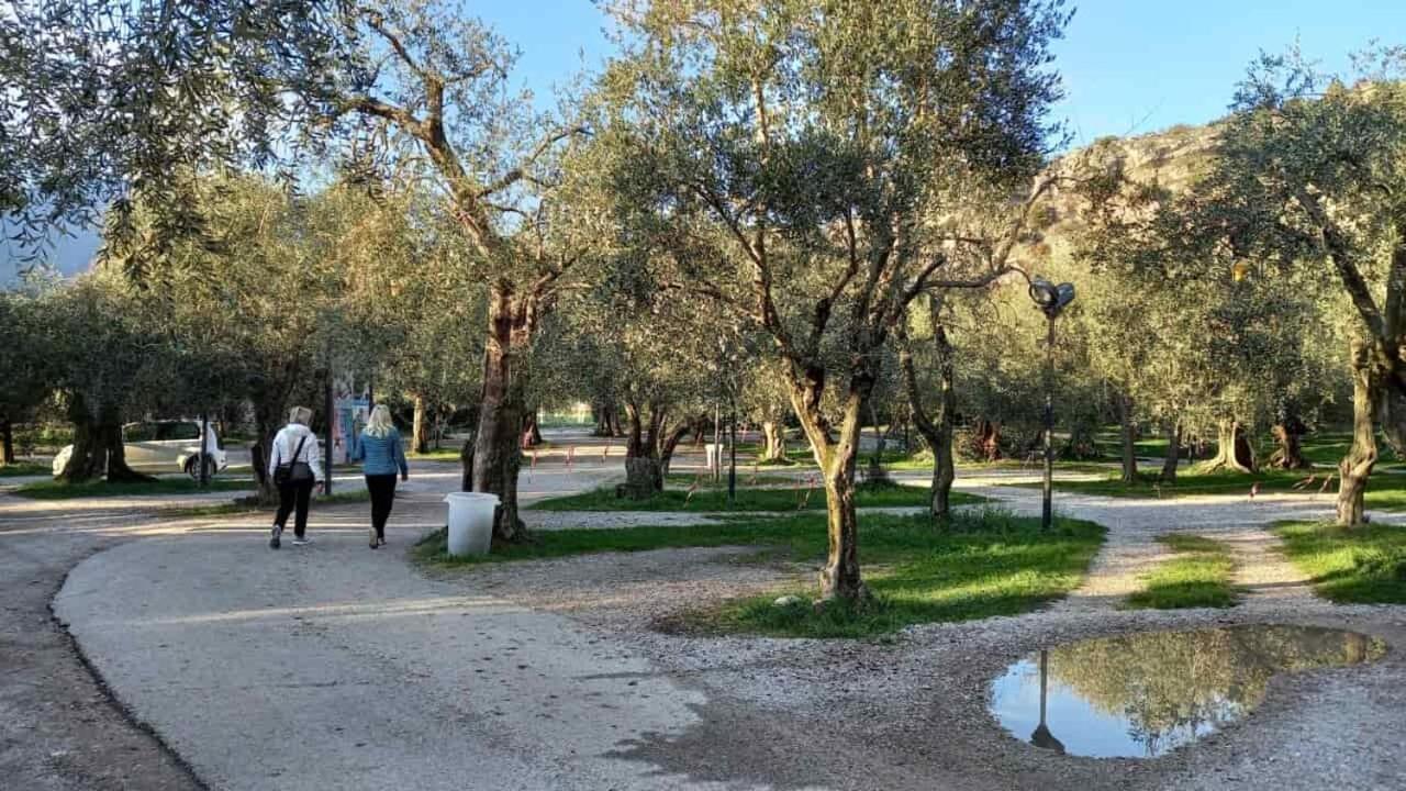 Casa Nataly Bed and Breakfast Torbole Sul Garda Εξωτερικό φωτογραφία